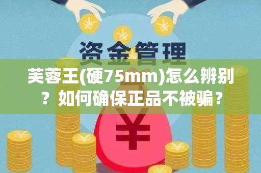 芙蓉王(硬75mm)怎么辨别？如何确保正品不被骗？